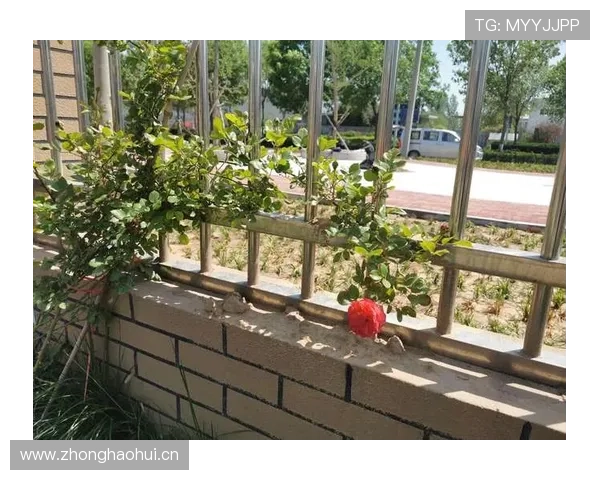 开云KY网址娱乐平台实现快捷注册与快速充值，开启您的极致游戏新体验