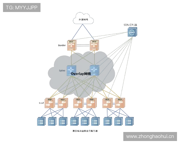开云体育直营模式下的运营策略与未来发展规划 开云体育直营模式下的运营策略与未来发展规划