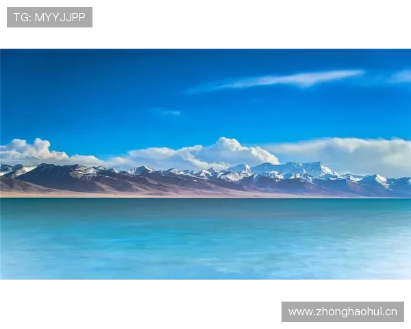 乐鱼app官网正式版下载安装最新版本，获取完整功能体验与安全保障方法推荐