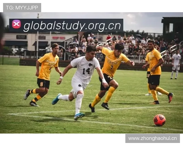 乐鱼体育安卓版官方免费下载渠道推荐，安全稳定的体育赛事直播平台