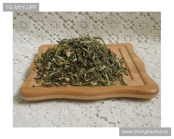 乐投letou体育app多设备同步登录体验，随时随地畅享体育竞猜乐趣