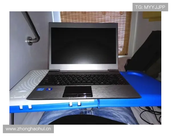 乐鱼电子官方旗舰店用户评价及真实体验分享，为你的购买提供全面参考依据