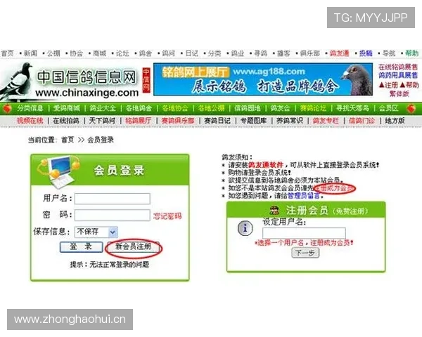 乐鱼体育官方w301vip新手注册流程详细步骤指导快速入门