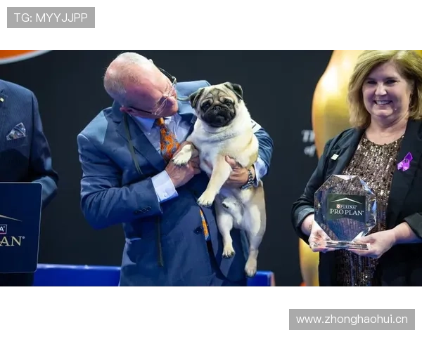 乐鱼平台冠名大巴黎的合作细节揭秘，探索体育营销中的创新合作模式