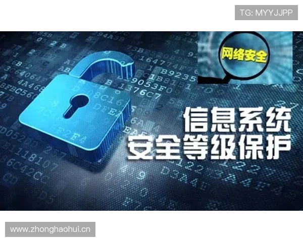 乐鱼真人手机版下载提供安全稳定的游戏环境保障玩家资金安全与个人信息保护措施