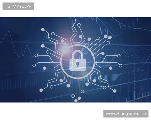 乐鱼网页版登录官方网站入口安全保障措施全面解析保障玩家账号信息安全与隐私保护