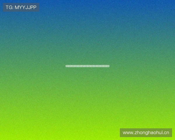 乐鱼登录网站官网详细指南，帮助新手快速注册与安全登录流程解析